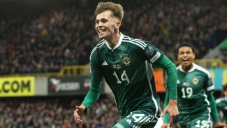 Northern Ireland end poor Euro 2024 qualifying campaign with win over Denmark