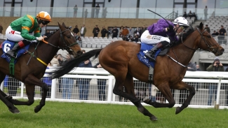 Arizona Blaze makes perfect start to career with win at the Curragh