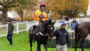 Southoftheborder delights Henderson at Sandown