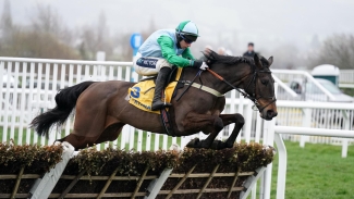 Snowden confirms Mares’ Hurdle date for You Wear It Well
