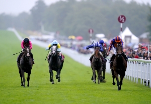 Ascot the ultimate goal for Facteur Cheval