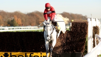 Grey Dawning looks smart in getting off the mark over fences