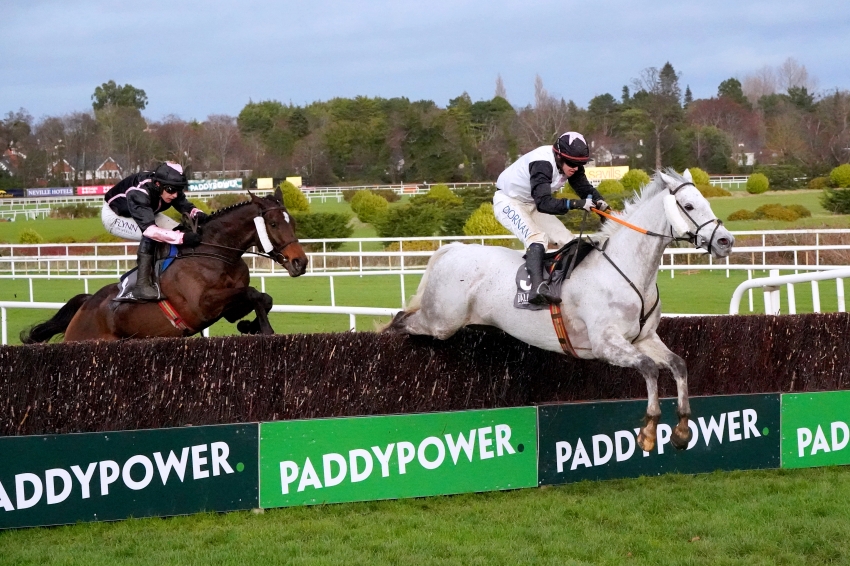 Ahoy Senor and Bravemansgame in good shape for Wetherby showdown