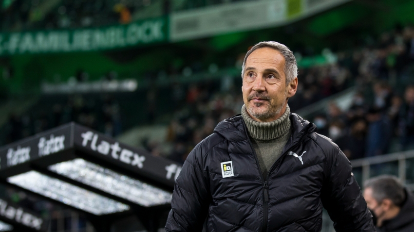 Smashed for six by half-time! Gladbach boss Hutter tells fans he&#039;s &#039;sorry&#039; for humiliating Freiburg defeat