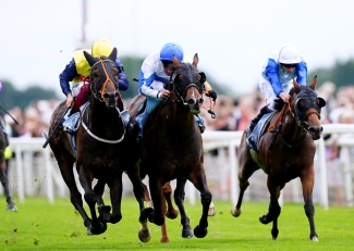 Ropey Guest earns deserved victory on the Knavesmire