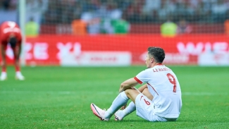 Poland boss Probierz hopeful Lewandowski injury is nothing serious