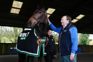 Champion Hurdle market rocked following Constitution Hill workout