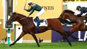 Feed The Flame to limber up for Arc challenge in Prix Niel
