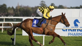 State Man makes no mistake in Champion Hurdle