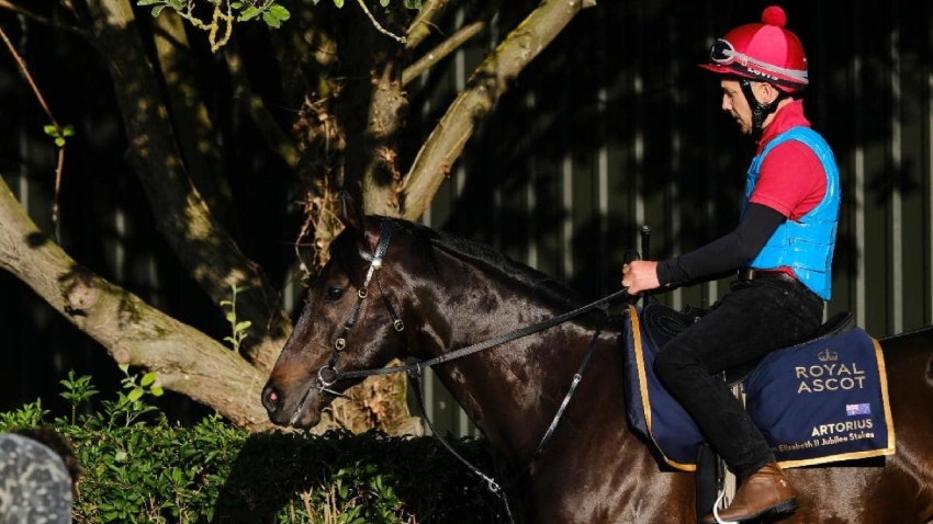 Jubilee challenger Artorius delighting Freedman in Ascot prep