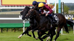 Hills gives Vintage second Iberian Champagne aim