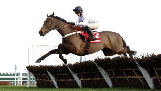 Constitution Hill headlines 22 Champion Hurdle entries