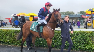 Francis Meynell in line for Doncaster following sparkling debut