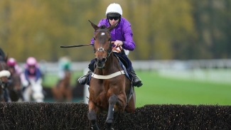 Hobson mulling Cheltenham and Lingfield choices for Fugitif