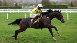 Dublin Racing Festival among options mooted for Burdett Road