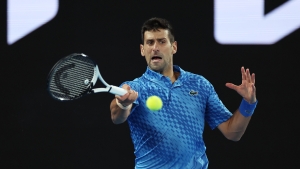 Australian Open: Djokovic overcomes hamstring concerns to down Dimitrov