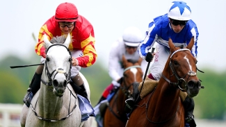 John Murphy dreaming of Derby delight with White Birch