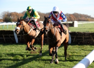 Fehily pleased to see Tahmuras back to winning ways