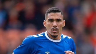 Allan leaves Everton for Abu Dhabi side Al Wahda