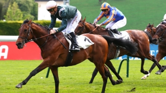 Feed The Flame hungry for French Derby success