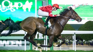 Spirit Dancer powers home to give Ferguson victory in Neom Turf Cup