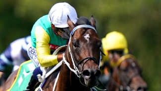 Champions Day option for speedy Mill Stream