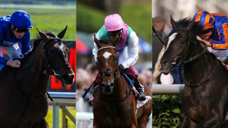 Auguste Rodin heads 14 contenders for Derby glory