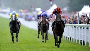 Paddington has all the answers in Sussex Stakes