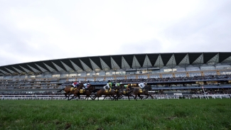 Ascot card faces Thursday afternoon inspection