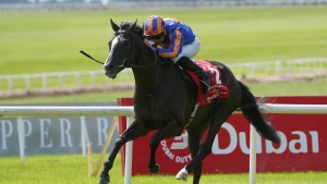 All systems go for Auguste Rodin and Dubai after Dundalk workout
