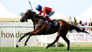 Inspiral ready to step up for Breeders’ Cup challenge