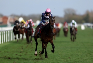 Cheltenham and Ascot options for Blackjack Magic