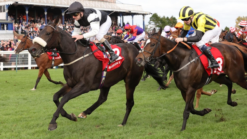 Significantly team favouring York run