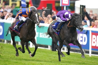 Varian ‘delighted’ with Irish Champion hope King Of Steel
