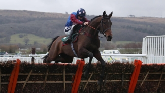Paisley Park primed for record-breaking fourth Cleeve Hurdle