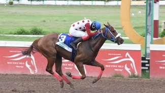 Mamma Mia piloted to victory by Phillip Parchment in the Betmakers Technology Group-sponsored Jamaica 1000 Guineas at Caymanas Park on Saturday.