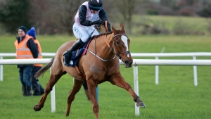 Hiddenvalley Lake lands smooth Boyne Hurdle success