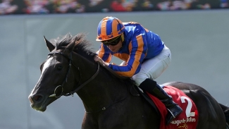 O’Brien remains mystified by Auguste Rodin’s Ascot disappointment