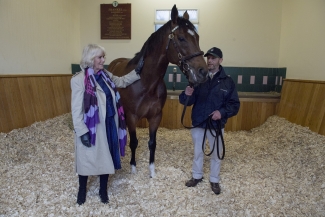 Frankel to join Dubawi as most expensive stallion