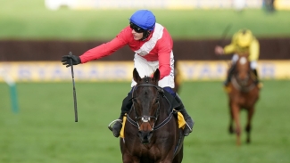 Allaho ruled out of Cheltenham Festival due to injury
