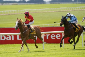 Harry’s Hill prevails in blanket Curragh finish