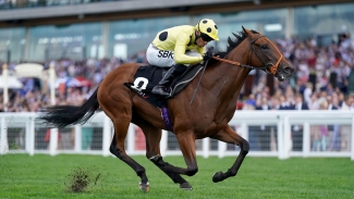 Rosallion impresses with clear-cut Ascot win