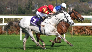 White Birch poised for return to action at Leopardstown
