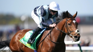 Passenger plans undecided after Derby disappointment