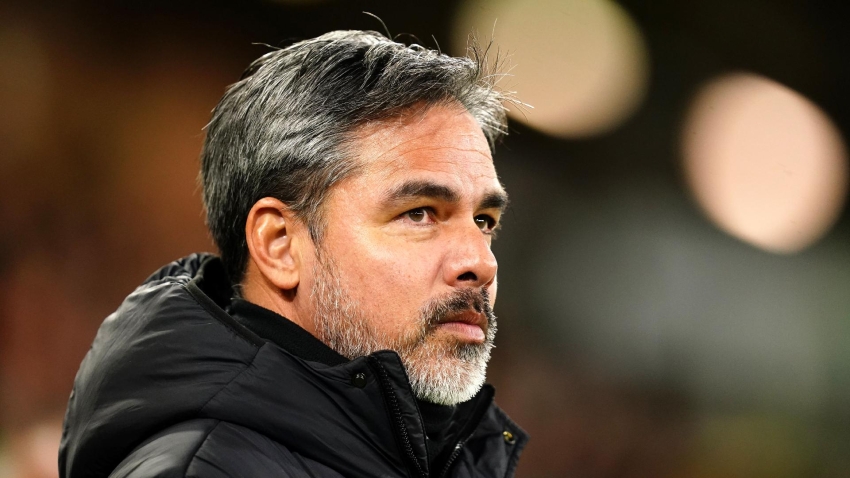 Norwich boss David Wagner delighted to ‘put things right’ with clinical ...