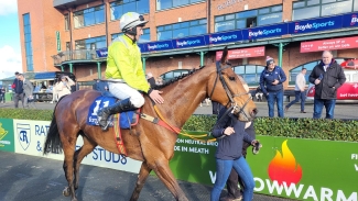 Mousey Brown springs another surprise at Fairyhouse