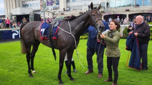 Lord Massusus takes Desmond Stakes honours at Leopardstown