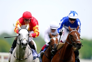 Passenger out of luck on the Knavesmire – but not out of Derby picture