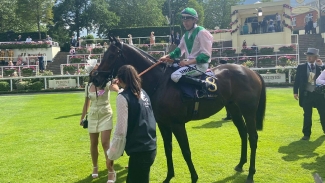 Khaadem produces 80-1 shock in big Royal Ascot sprint