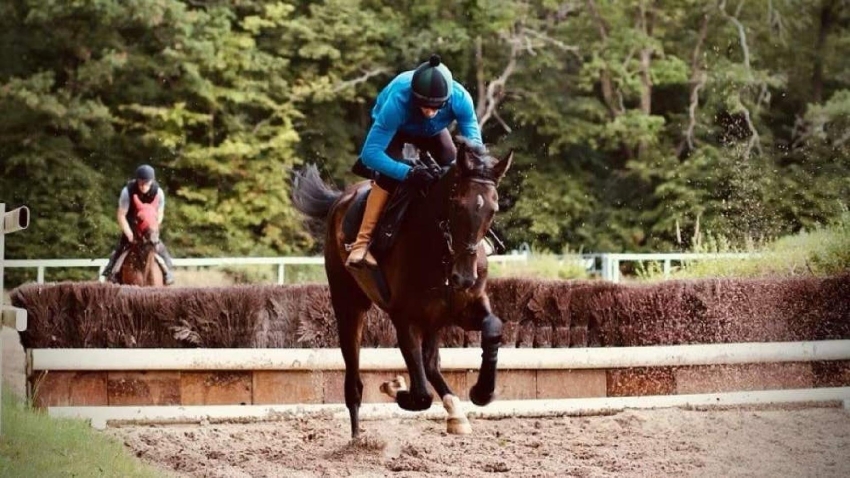 Quizz Galop 2  passion~équitation